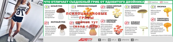 бошки Алзамай